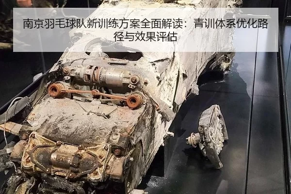 南京羽毛球队新训练方案全面解读：青训体系优化路径与效果评估