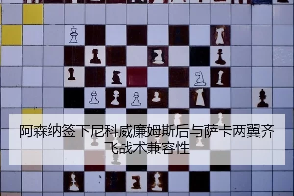 a-sen-na-qian-xia-ni-ke-wei-lian-mu-si-hou-yu-sa-ka-liang-yi-qi-fei-zhan-shu-jian-rong-xing-2-790.jpg